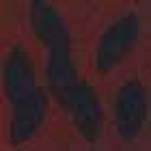 Symbiosen Cover