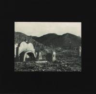 Peace Cover